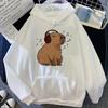 Capybara Sweatshirt Anime Sweatshirt Cartoon 2000s Cute Harajuku Korean Quality