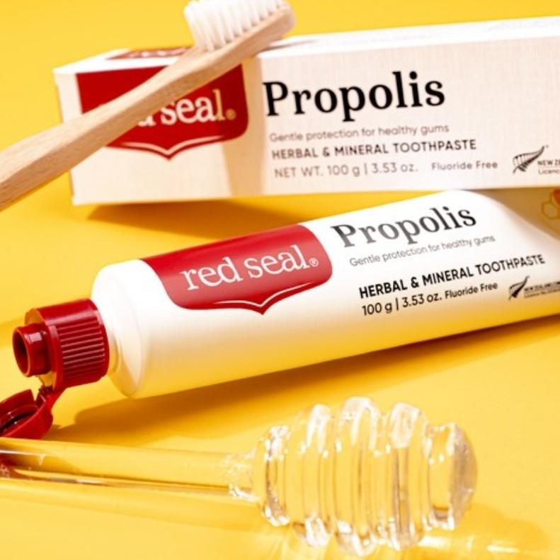 [Red Seal] Propolis /Propolis Mint Toothpaste 100g* 2 pieces From KOREA