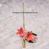 Small Lily Flower Arrangement: Two Flowers and One Bud, Silk Gel Sheet for Home Decor.
