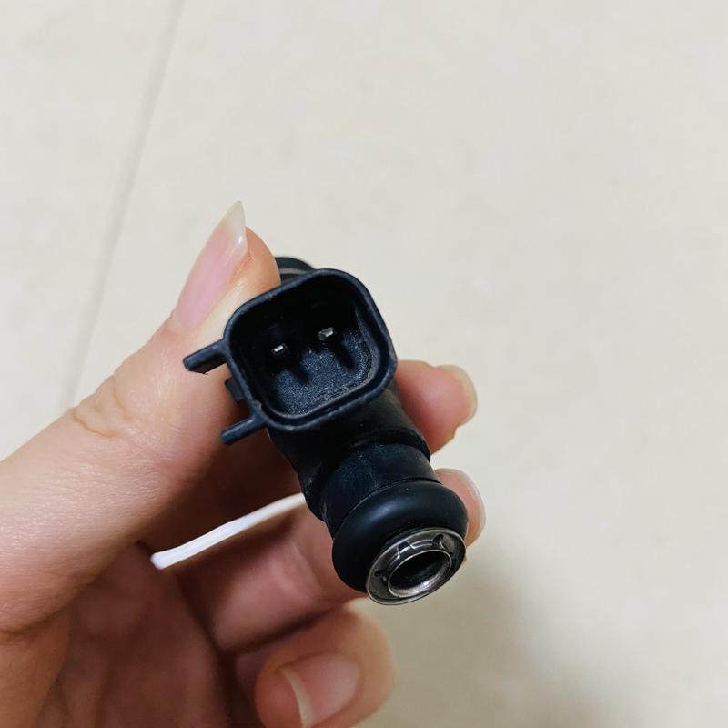 28101822  Fuel Injector Nozzle For Chery Cowin Fulwin Lifan Truck DFSK V29