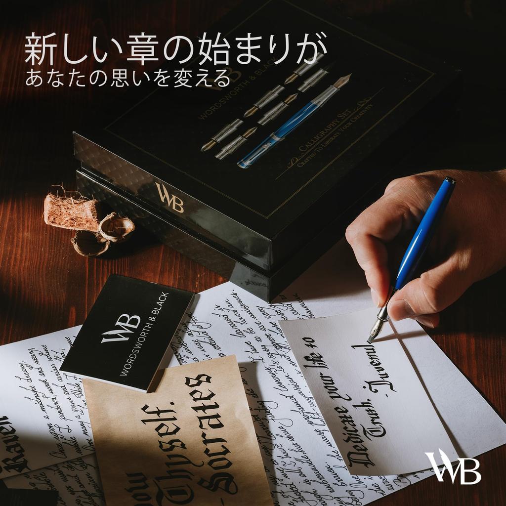 Чернила для каллиграфии Wordsworth Black, подарочные, 6 шт., сменные стержни для чернил, 6 шт., набор для письма Premium Smooth, флакон, картриджи, конвертер, перья,