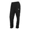 Puma Штаны Team Rise Sideline