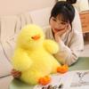 Cute Fried Duck Duck Doll Duck Plush Toy Doll Pillow Rag Doll Birthday Gift for Children and Girls