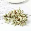 20PCs Silk Artificial Orchid Flowers Head Fake Flowers For Home Room Wedding Decoration DIY Vases Garland Gifts Accessories