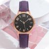 Simple Dress Wristwatches Frosted Casual New Ladies' Quartz Clock Leather Belt Watches Women Ins Watch Women Watch Fashion Jewelry