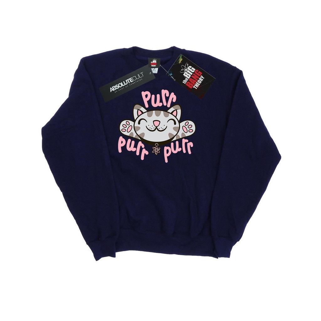 Big Bang Theory Womens/Ladies Soft Kitty Purr Sweatshirt