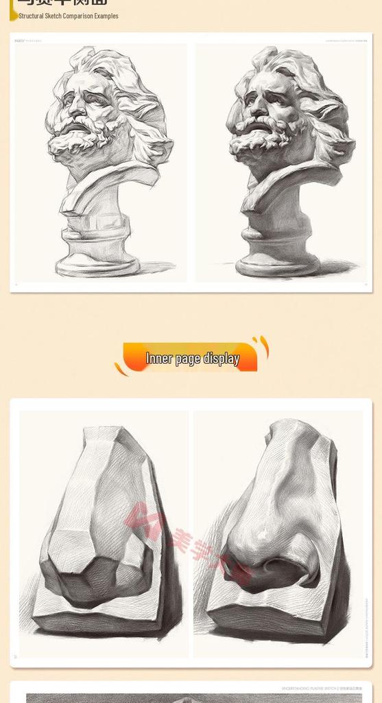 Understanding Sketch Plaster Casts: 8K Exam Art Guide & Album