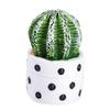 Kawaii Mini Cactus Figurines Artificial Resin Cactus Desk Decorations DIY Micro-landscape Decorations