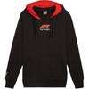 Puma Essentials F1 Series Comfortable Fashion Hoodie Men Hoodies Black 626419-01