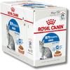 Royal Canin Indoor Паучи с соусом для взрослых кошек, живущих в помещении, Оригинальный логотип [12 штук] Кошки, 85 г, Отправка по почте,
