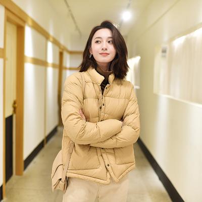 2024 Новый Темперамент Простой Стоячий Воротник Легкий Короткий Пуховик Женский Ретро Японский Белый Утиный Пух Зимнее Пальто