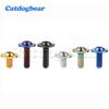 Catdogbear Titanium Ti Bolt M6x10 15 20mm Torx Head Screw for Riding Brake Level Stem Bike Parts Fasteners