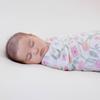 Aden + anais Monfleur Комплект из 2 пеленок, 120 x 120 см, Муслиновый хлопок, SWADABASWC20007J