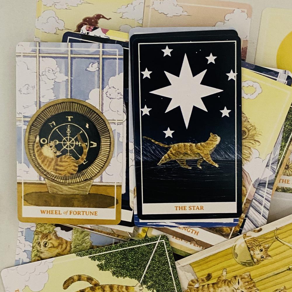 78PCS Sunny Orange Cat Tarot Deck English Cute Kitten Tarot Cards Divination Edition Deck Borad for Cat Lovers
