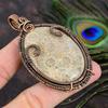 Fossil Coral Handmade Copper Wire Wrap Jewelry Pendant 3.07 R1u52