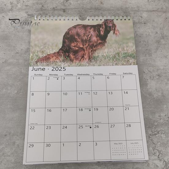 2025 Какающие Собаки Настенный Календарь Забавный Подарок Шутка Календарь Какашек Щенка Семейный Офис Ежедневный Планировщик Расписания Для Любителей Собак