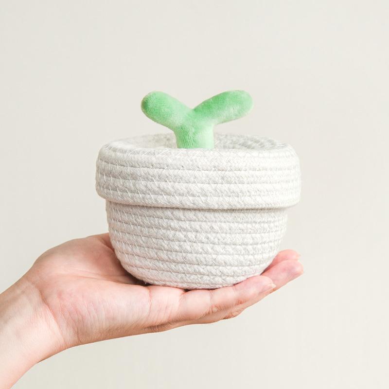 1 шт. плетеная корзина для хранения косметики, многофункциональный органайзер для ювелирных изделий, симпатичная плетеная корзина из хлопковой веревки, современный стиль, 2 стиля