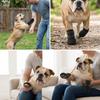 2pcs Adjustable Fit Dog Socks Neoprene Fabric Dog Foot Cover Dog Paw Protector  Indoor Protection