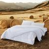 Mercury Home Textiles Антибактериальное одеяло из мягкого волокна для всех сезонов