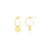 Ladies' Earrings Radiant RY000027 Stainless Steel 2 Cm