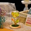 Eternal gold foil rose night light Qixi Festival Valentine's Day gift gold foil flower Valentine's Day bouquet for lovers