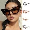 Punk Leopard Print Eyewear UV400 Wide Legs Sun Glasses Fashion Cat Eye Sunglasses  Travel