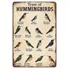 Types of Hummingbird Vintage Metal Signs, Hummingbird Metal Signs, Gifts for Hummingbird Lovers, Hummingbird Vintage