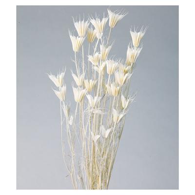 Ферма Даичи Сушеный цветок Nigella Orientalis White (30г) ДО10380-011