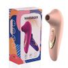Russian Trade Silicone Teasing Massager: Rechargeable Vibrating Erotic Device for Women