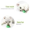 Rotating Catnip Ball Cat Toy