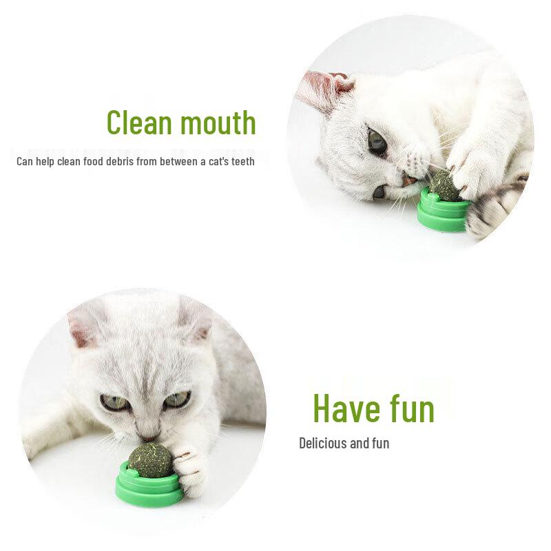 Rotating Catnip Ball Cat Toy