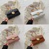 Trendy 2024 Simple Chain Crossbody Bag Chic Quilted Shoulder Bag For Women Fashion
