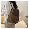 New high-end straw bag versatile women's backpack handwoven bag large-capacity seaside vacation beach bag
