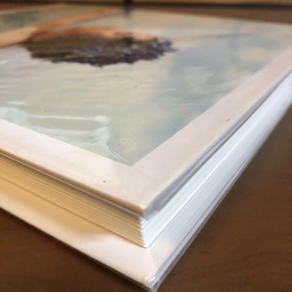 [ИСПОЛЬЗОВАННЫЙ] Лартиг: Книга с фотографиями «Жизнь в цвете» (английский)