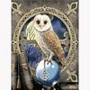 Алмазная картина совы Домашний декор Алмазная вышивка животное