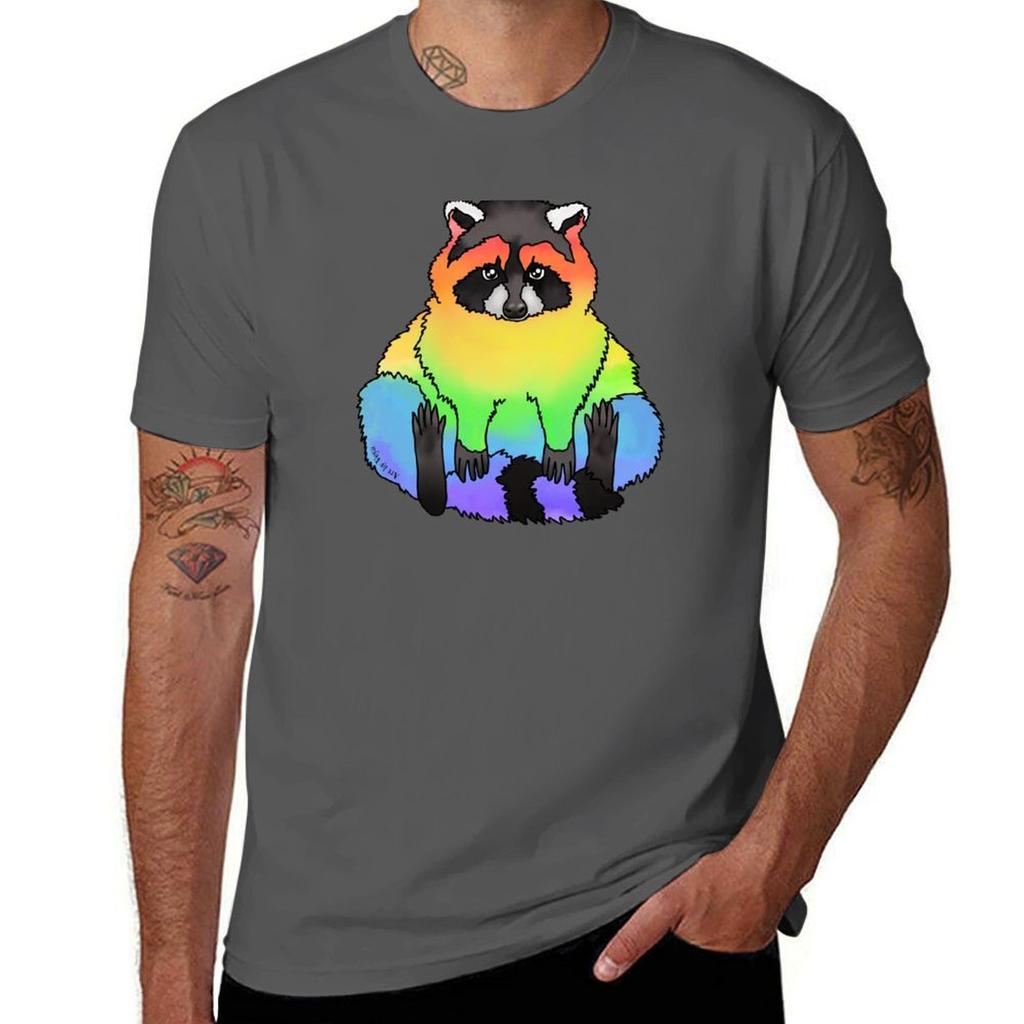 Rainbow Raccoon Tshirt Minimalist Casual Short Sleeve Top