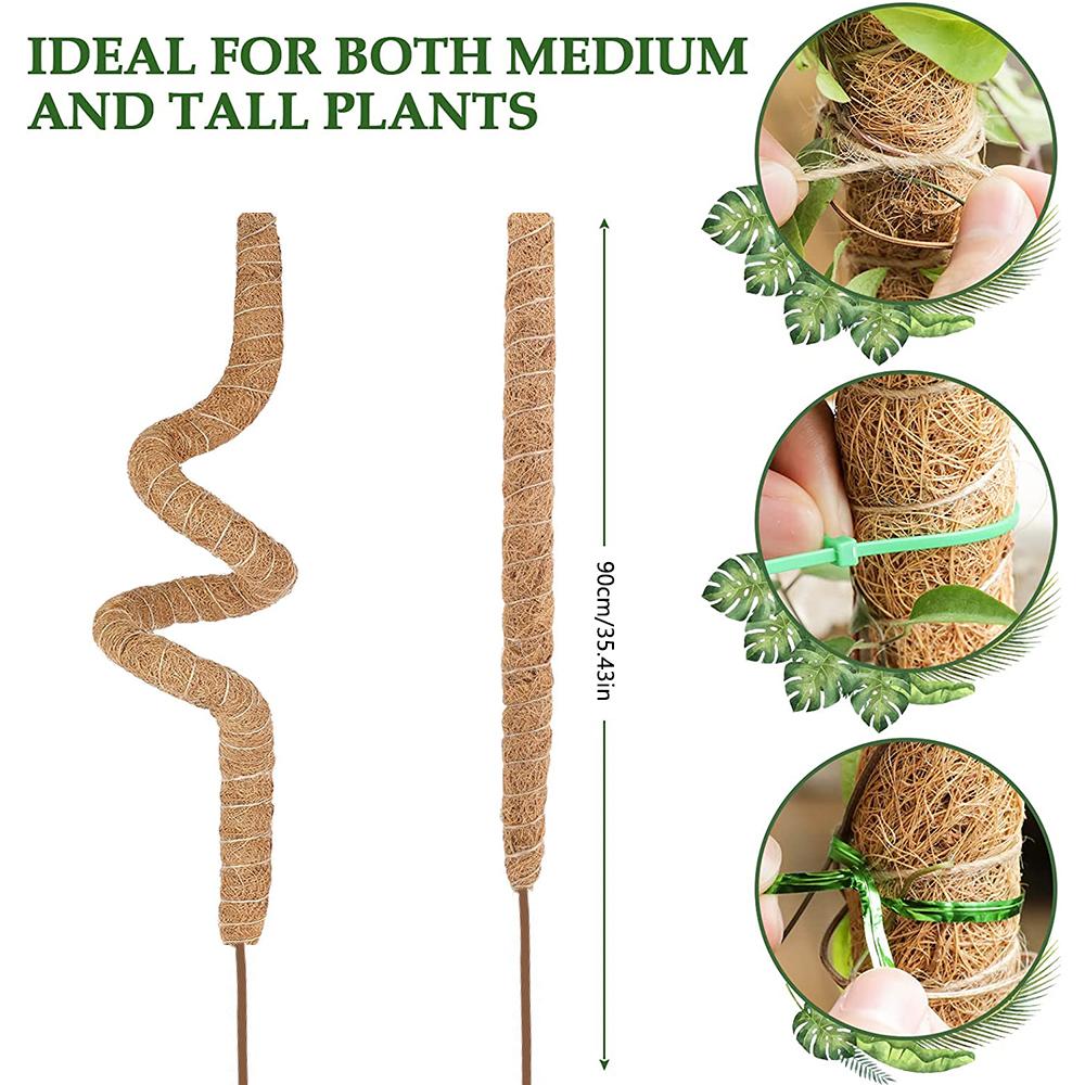 Моховая опора Идеально подходит для роста маленьких и средних вьющихся шпалерных растений в помещении