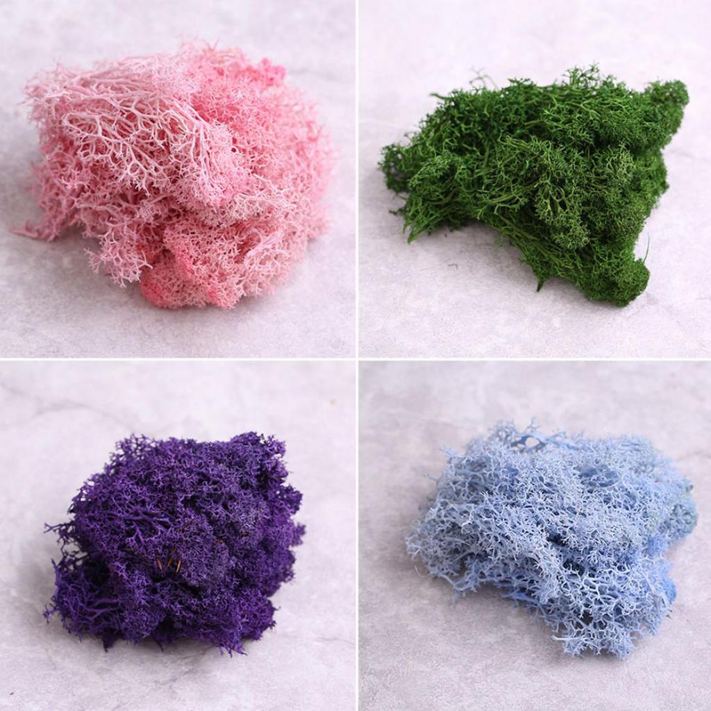 L&B Artificial Plant Preserved Flower Reindeer Moss DIY Craft Garden Home Decor