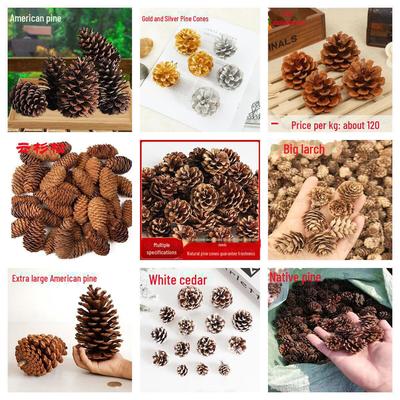 Американские сосновые шишки Сухоцветы для DIY декора, 1-15 см Сосна Ель Лиственница