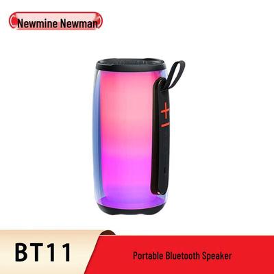 Портативная Bluetooth-колонка Newmine BT11 (Китайская версия)