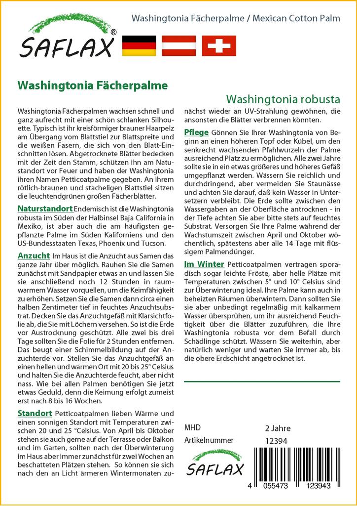 SAFLAX Мексиканская хлопковая пальма - 12 семян - Вашингтония робуста