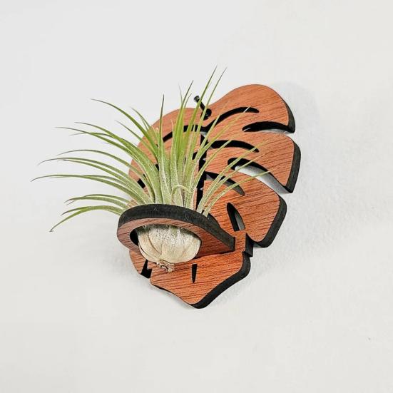 Настенный держатель для тилландсии, деревянная геометрическая подставка для тилландсии, деревенский настенный плантатор для декора дома, гостиной, спальни