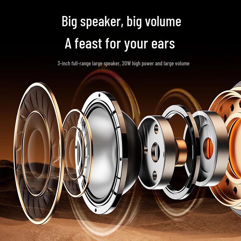 Newman Audio Devices CN plug (adapter included)