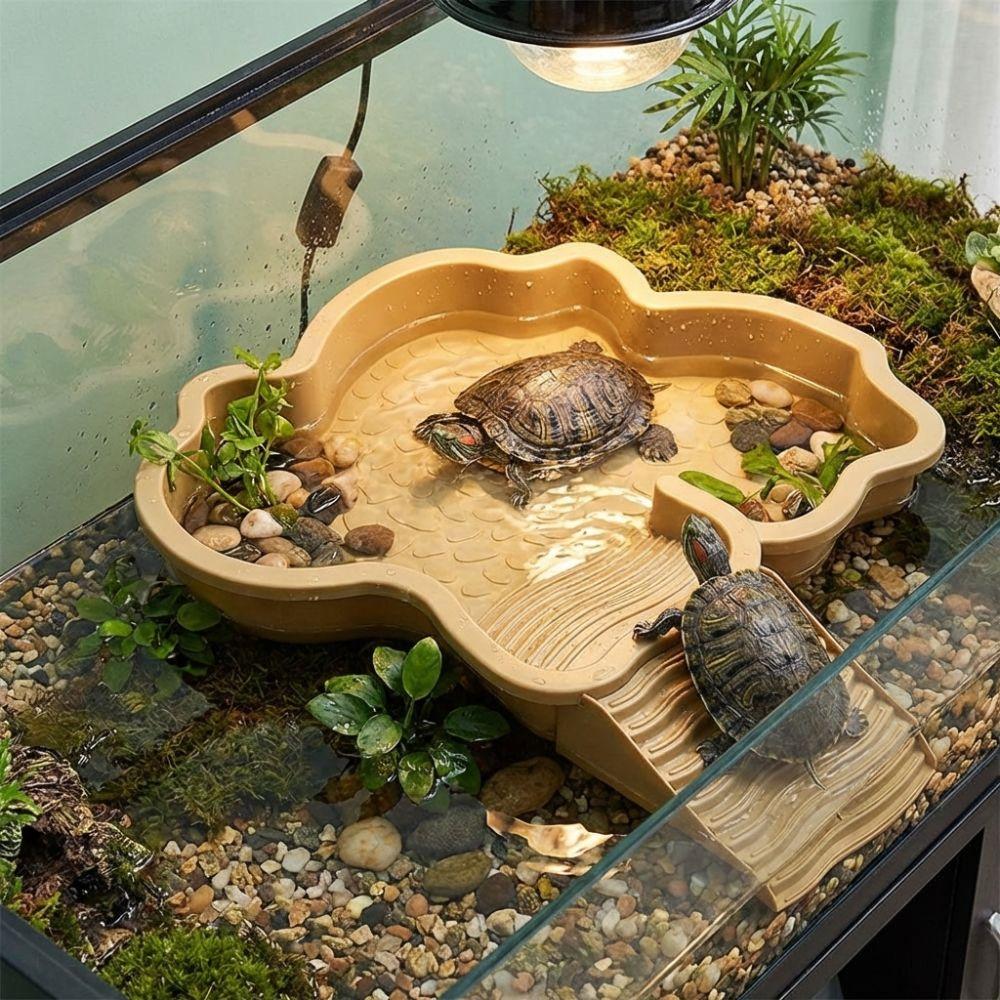 Plastic Turtle Soaking Tub with Ramp Reptiles Water Dish Turtle Water Pool  All Seasons