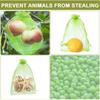 50Pcs Strawberry Grapes Fruit Grow Bags Netting Mesh Vegetable Plant Protection Bags for Pest Control Anti-Bird Garden Tools