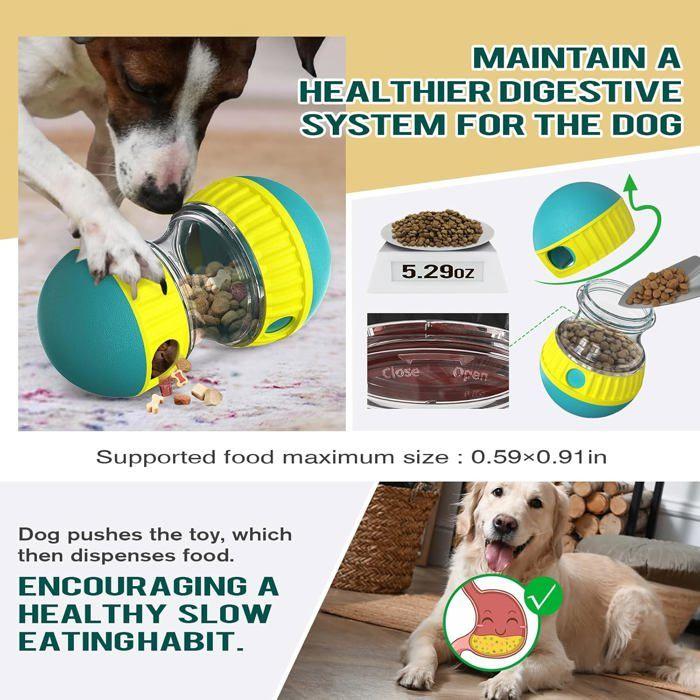 Jouet interactif chien indestructible chiot mangeoire, distributeur friandises alimentation lente races agressives Label