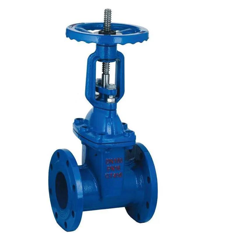 Naixin Z41X Cast Iron Rising Stem Soft Seal Flange Gate Valve