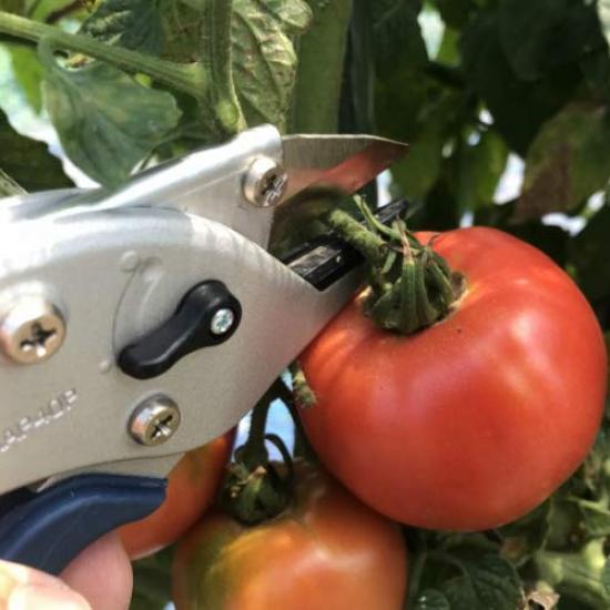 Секатор Mikikajiya Village Rakudansu Rose TS205 Тип наковальни Тип сменного лезвия Многоосевое открытие/закрытие