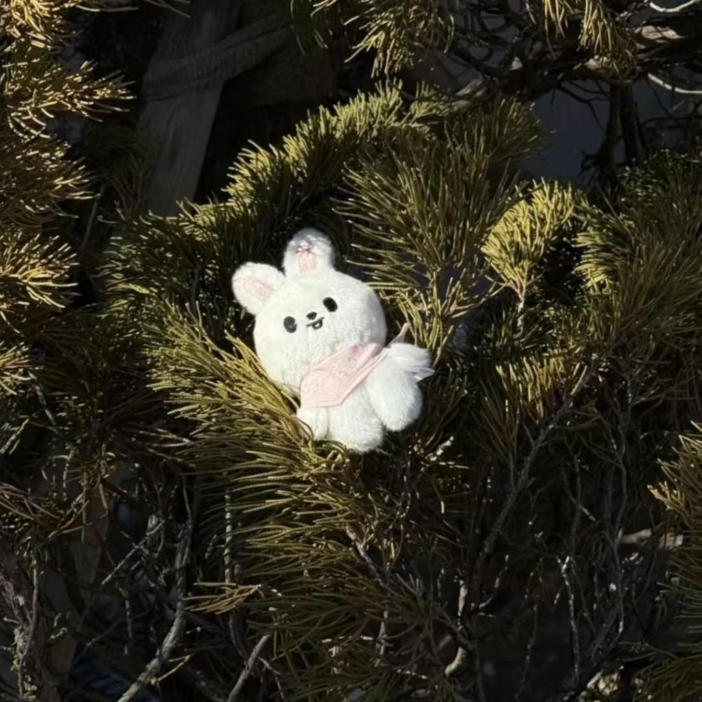 Stray Kids SKZ 5'CLOCK Official Merchandise - SKZOO Plush (10CM Ver.)