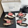 Thick Heel High Heels Women's Spring 2025 French Temperament Elegant with Skirt Square Head Light Mouth Low Heel Mary Jane Shoes